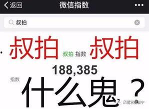今日头条爆料幺妈和幺叔,揭秘娱乐圈背后的温情故事 第3张 今日头条爆料幺妈和幺叔,揭秘娱乐圈背后的温情故事 第3张